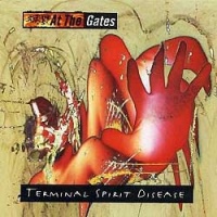 Terminal Spirit Disease