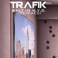 Salt In Nyc Remixes Web